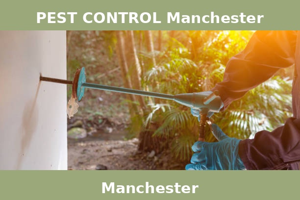 PEST CONTROL Manchester